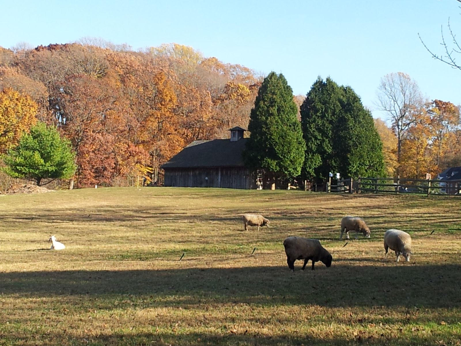Woodworking Classes Delaware Woodworking Small Projects
